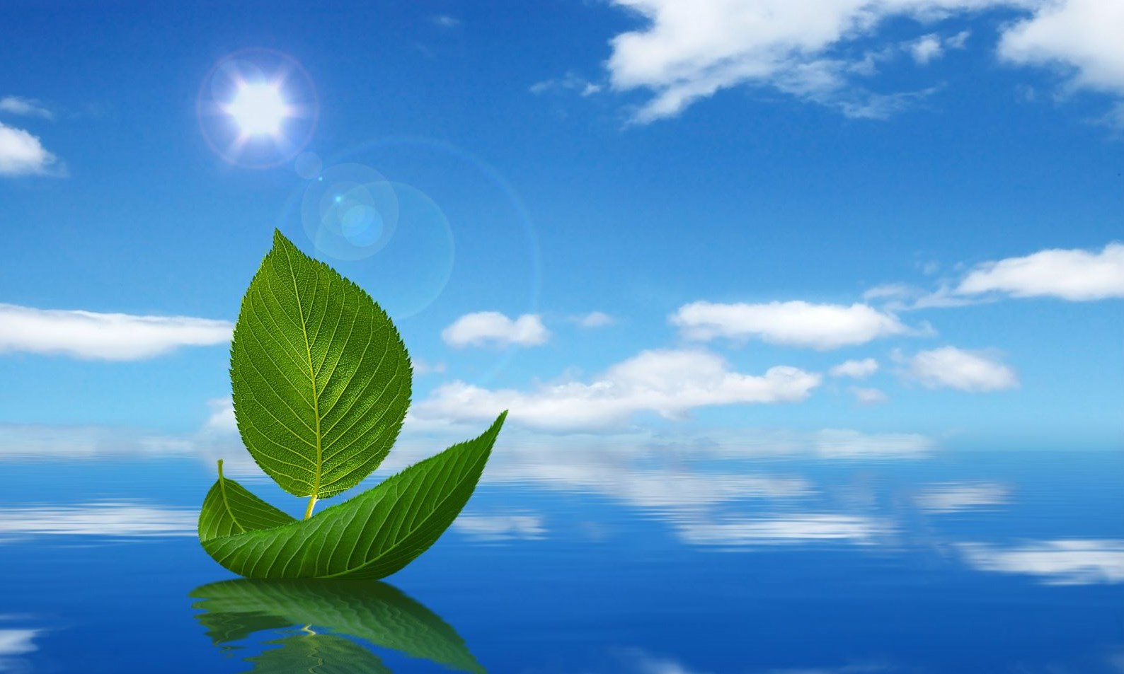 Người đi tìm "chân tướng" sự sống (Bài đọc hiểu tiếng Việt lớp 5 - đế số 11)